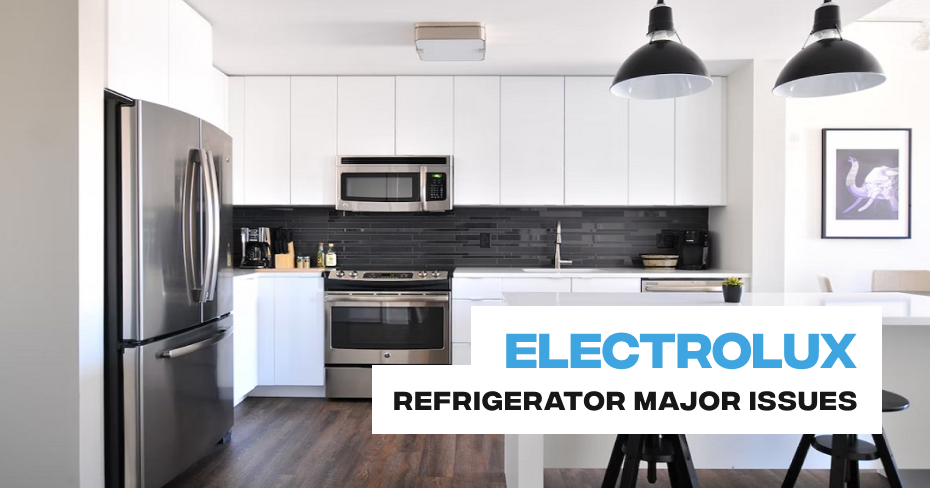 Electrolux Refrigerator Major Issues